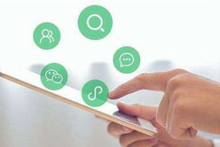 流量風口下的品牌困局 技術推廣的機遇與陷阱